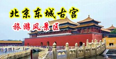 中国特级操逼黄片视频中国北京-东城古宫旅游风景区